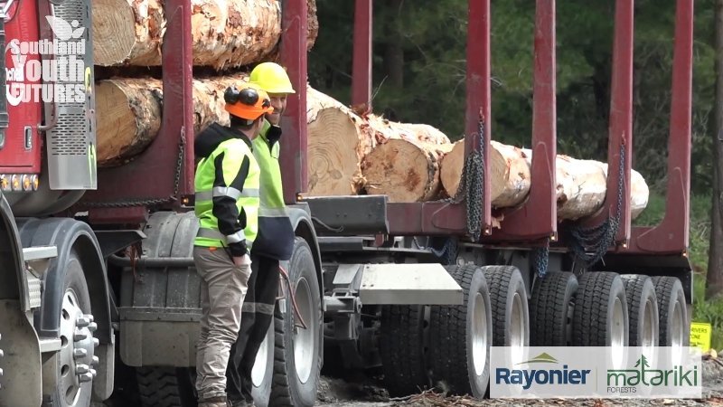Featured image for “Spotlight: Working in Forestry”