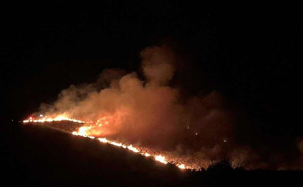 Featured image for “New posts on Rural Fire Research Blog”