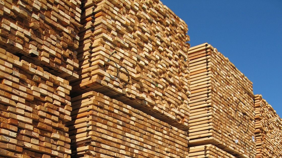 Featured image for “Latest NZ Forestry Facts and Figures out”