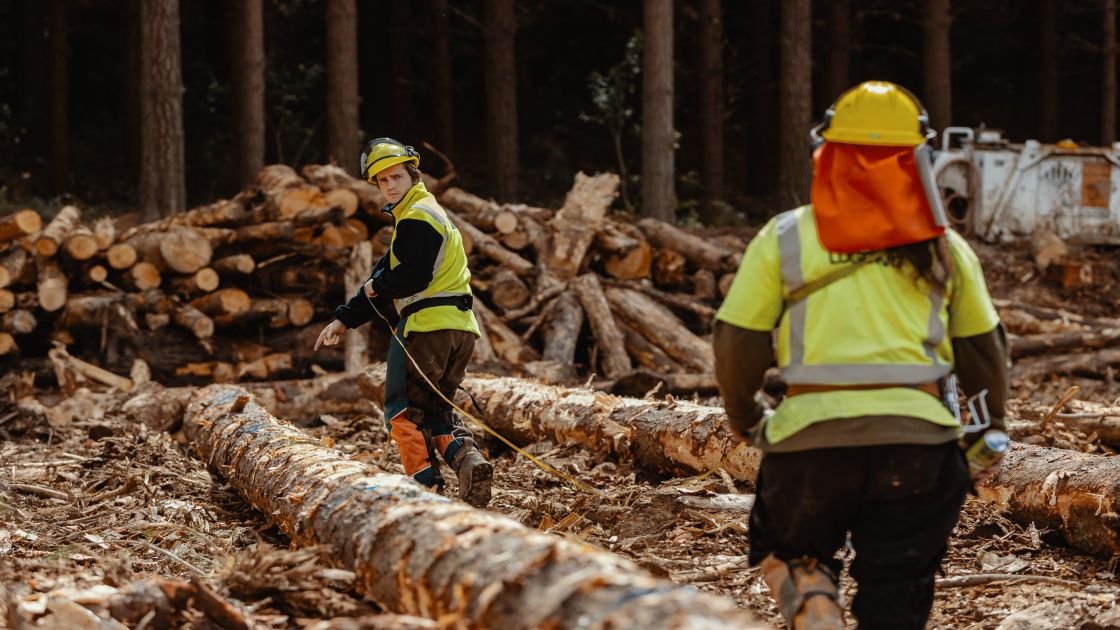 Featured image for “Forestry industry post COVID-19 busier than ever”