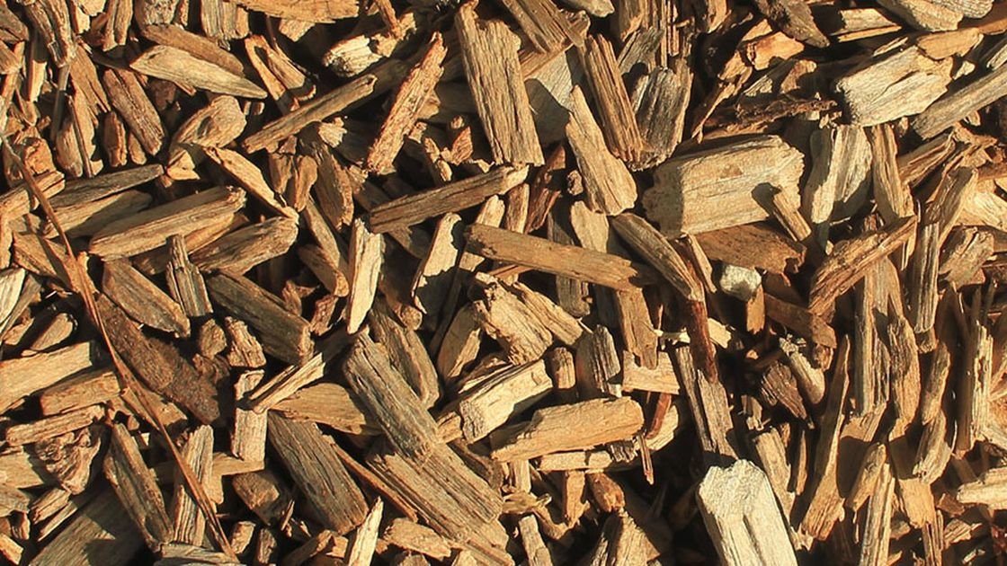 Featured image for “Biofuel in Southland being hit by log prices”