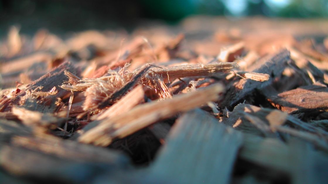 Featured image for “Fonterra announce another switch to wood biomass”