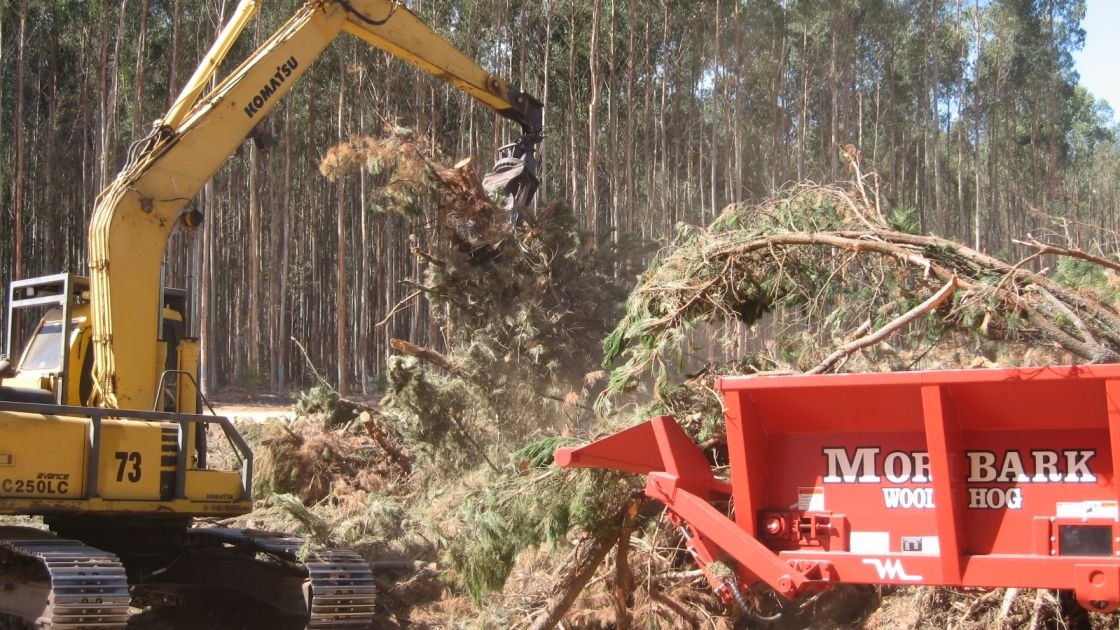 Featured image for “Biomass favourite for decarbonising SI process heat”
