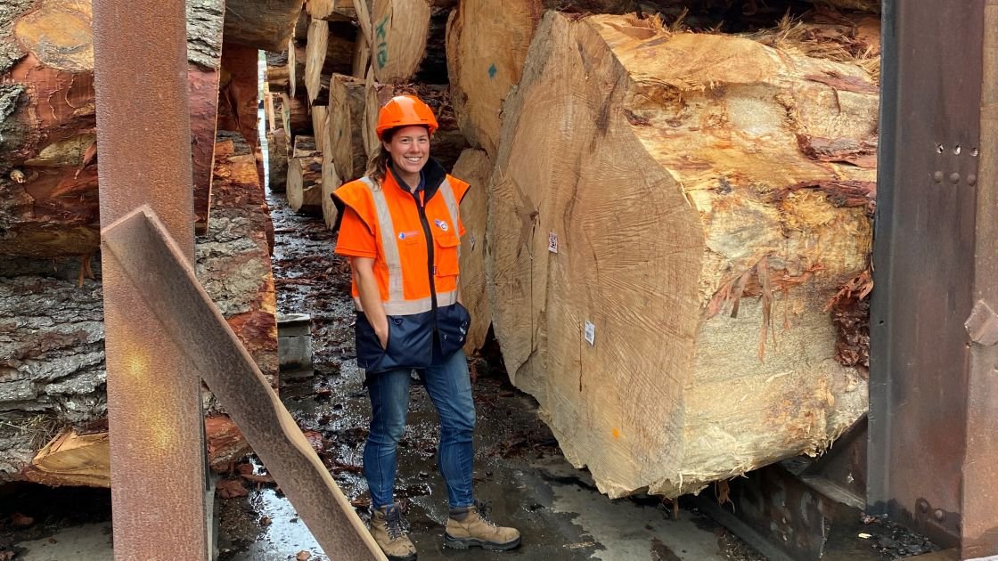 Featured image for “Yes – big trees, they still exist”