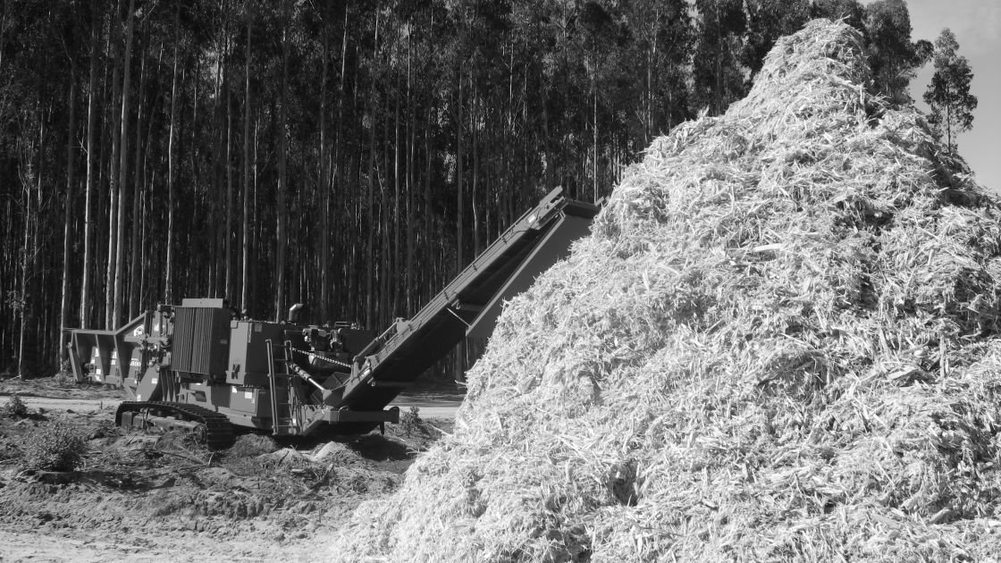 Featured image for “Wood Energy New Zealand Partnership formed”