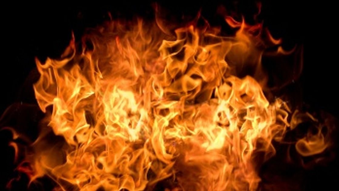 Featured image for “Ravensdown switching to wood biomass fuel”